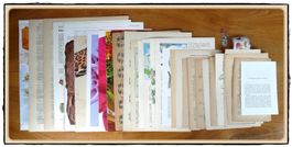 ephemera 7/papier collage bastelpapier scrapbooking +Versand