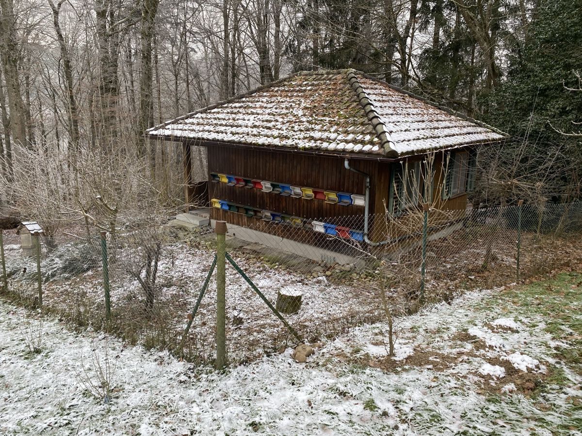 Alveari: Bienenhaus mit Land – Usato da Hägglingen venduto da Gismo2017
