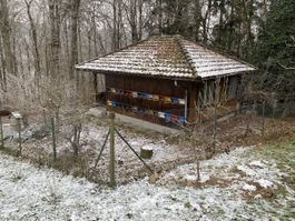 Bienenhaus mit Land