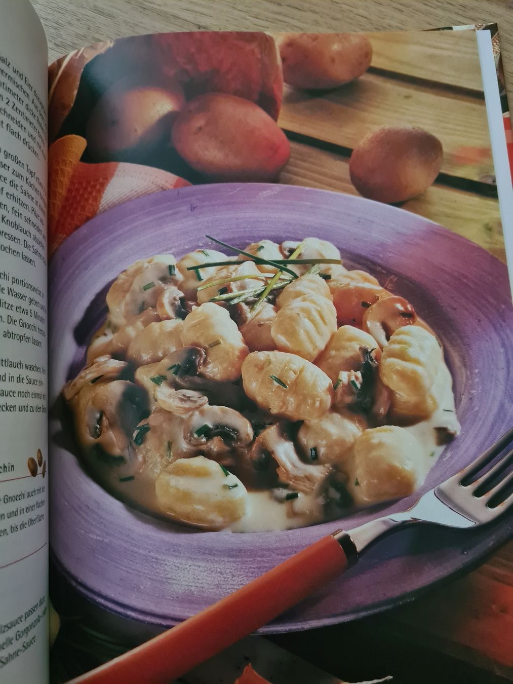 Libri: Buch Kartoffel Kartoffeln Kochen – Usato da Langenthal venduto da Polarisstern 2