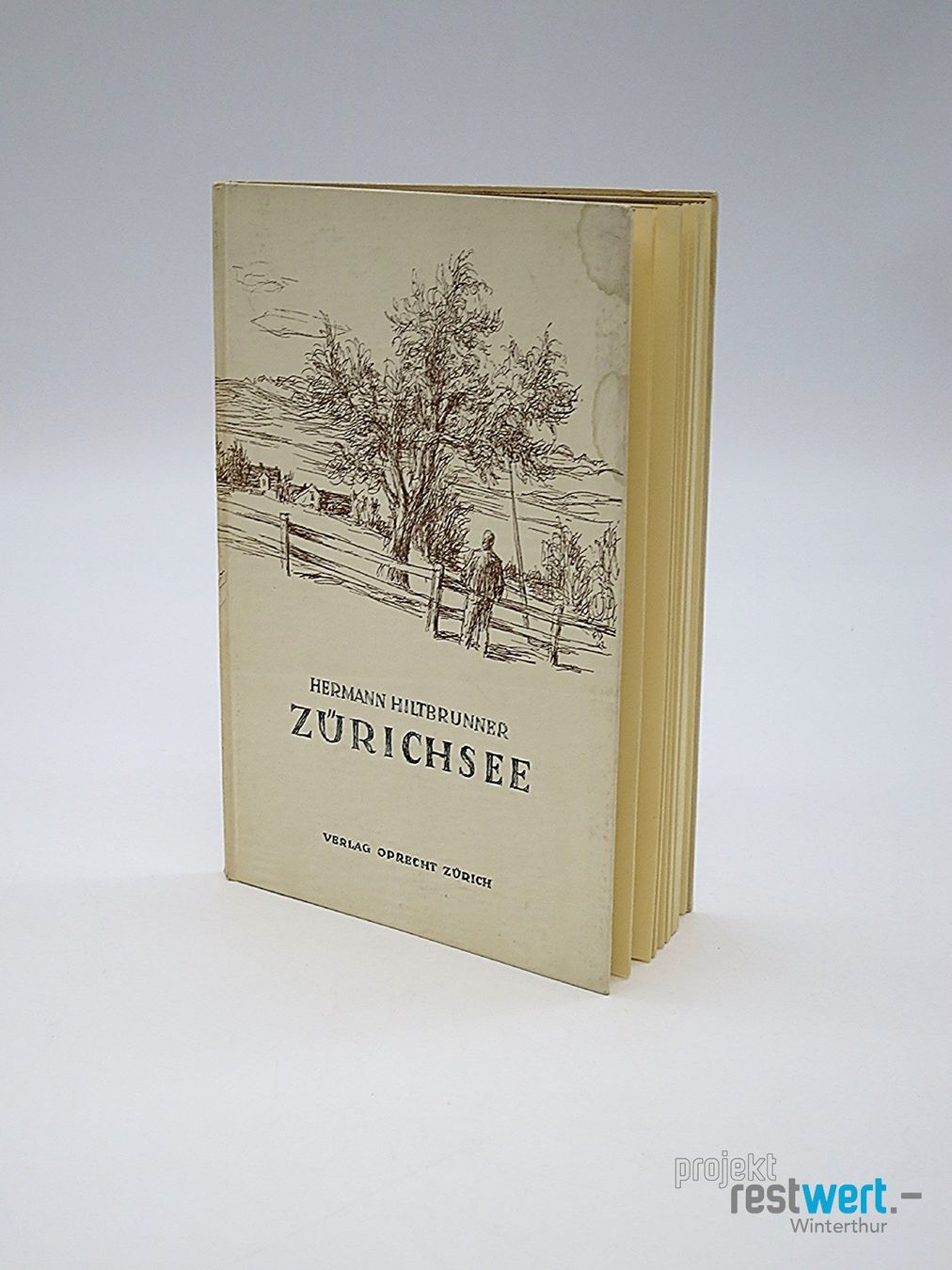 Livres: HERMANNHILTBRUNNER / Zürichsee – Défectueux à Winterthur par Restwert_Winterthur 1