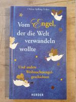 Vom Engel, der die Welt verwandlen wollte Christian Spilling