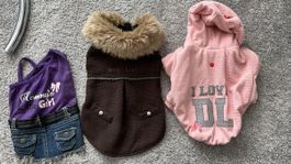 Kit 3 Kleider für Hunde