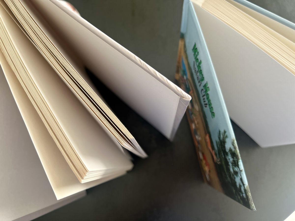 Album: Fotoalbum, 2Stück, neu – Nuovo (secondo la descrizione) da Rothrist venduto da Digibobi 4