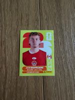Panini FIFA World Cup 2026, CAN 14