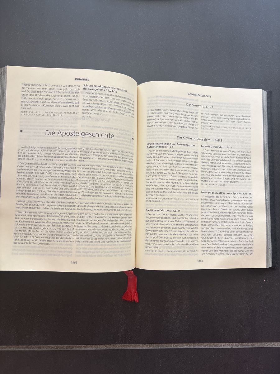 Libri: Hundertwasser Bibel - Gesamtausgabe – Nuovo (secondo la descrizione) da Knonau venduto da ReMaaaan 5