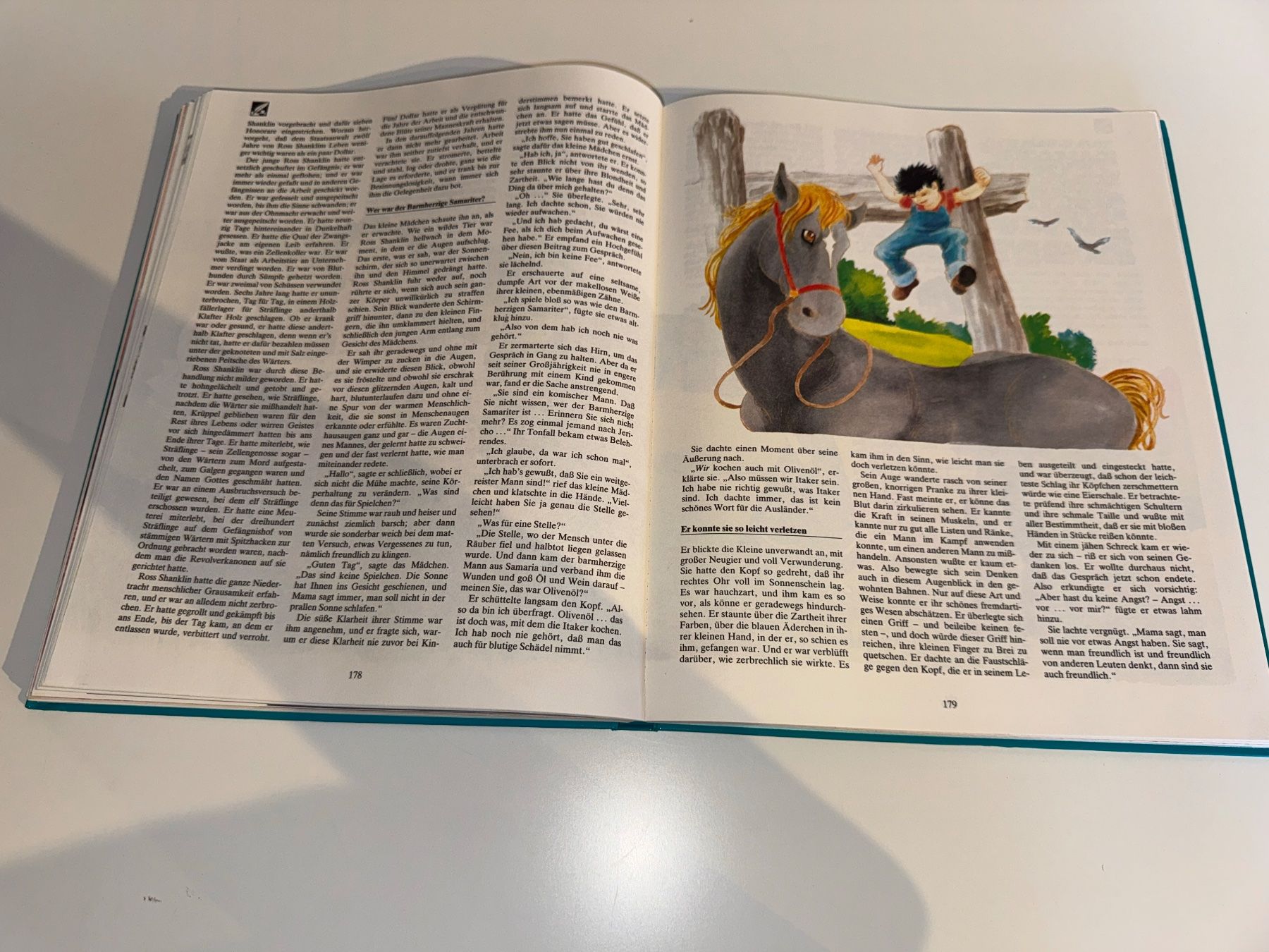 Libri: BUCH: Das grosse Jugendbuch 26te Folge – Usato da Grosswangen venduto da Second_hand_paradise 5