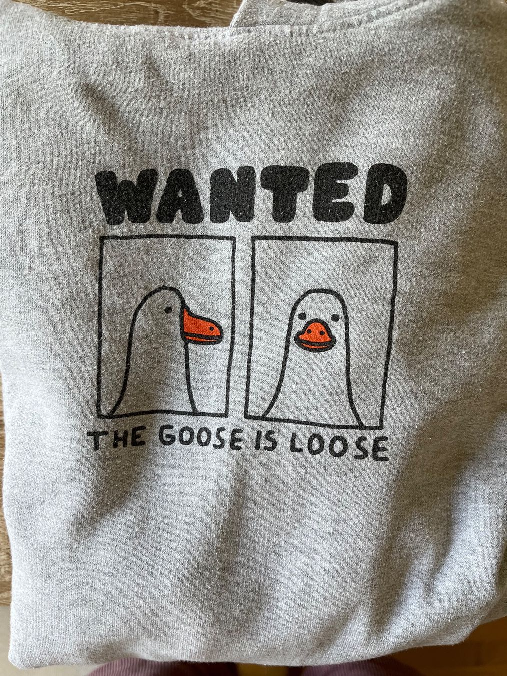 Pulls & Sweat-shirts: A-Lab Pullover “The Goose Is Loose” – D'occasion à Bern par MichaelFranz