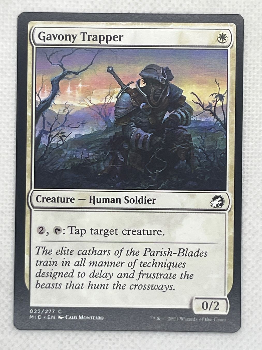 Magic The Gathering Carte collezionabili: MTG Gavony Trapper MID 022 Englisch Common – Usato da Hinterkappelen venduto da Kim1992