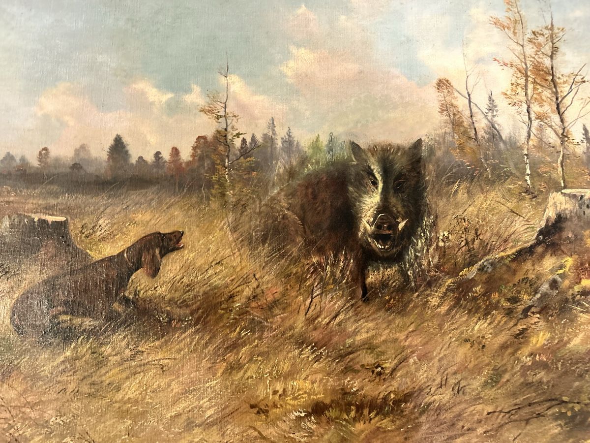Dipinti: Antikes Ölgemälde Wildschwein Keiler M. Müller-Gera  – Usato da Hofstetten SO venduto da Treasurefinds 1