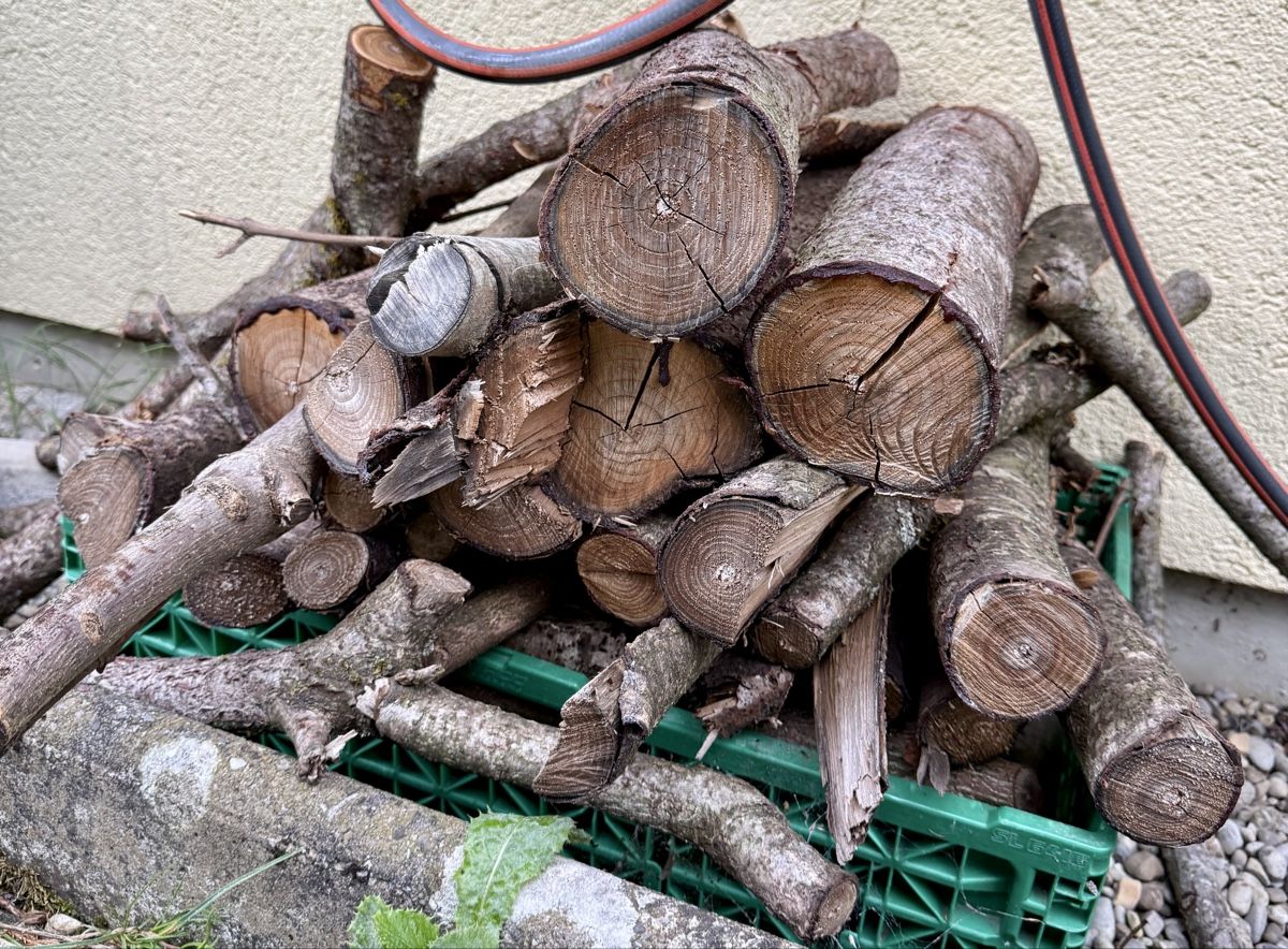 Articoli in legno: Holz von Essigbaum – Usato da Ottoberg venduto da Aramis.007 2