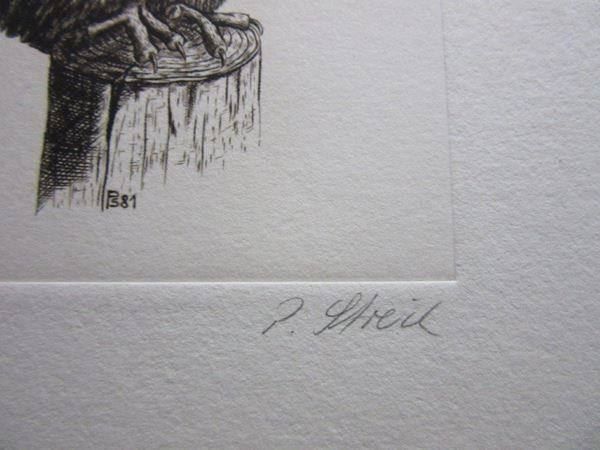Arts picturaux & lithographies: Peter STREICH (1949 RADIERUNG SIGNIERT – D'occasion à Gersau par kunst-online 2