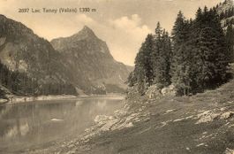 Lac Tanay   VS  près Vouvry      1¨380 m.