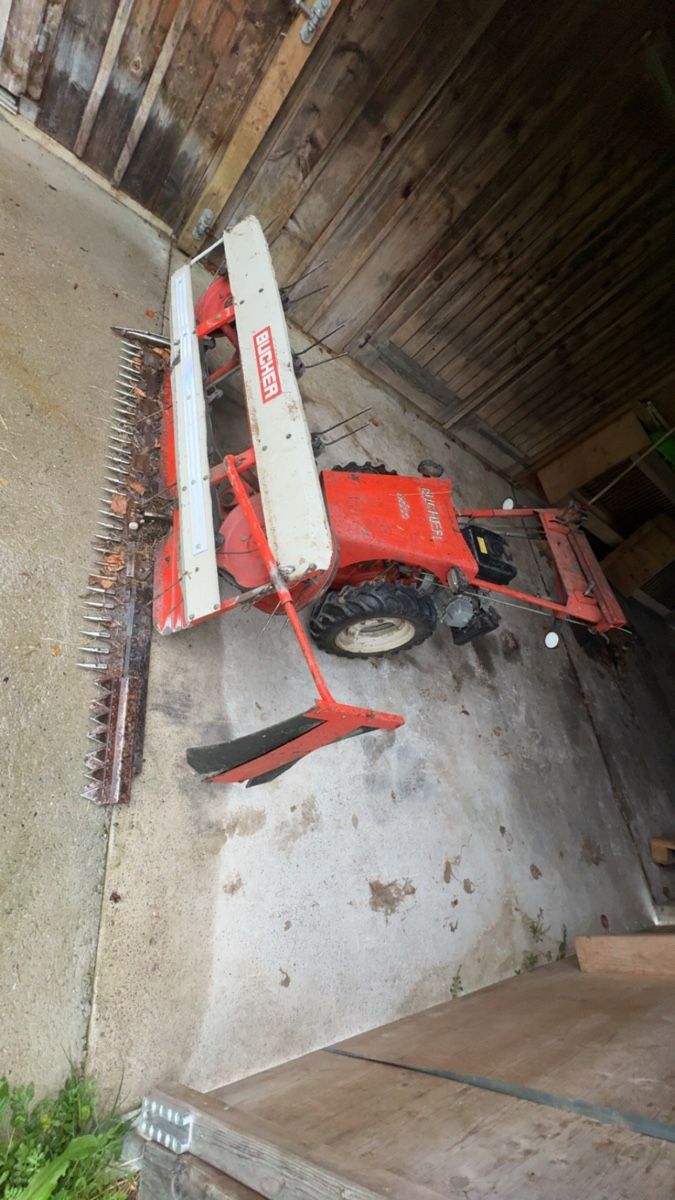 Bucher Tutte le macchine: Motormäher Bucher M600 – Usato da Schönenberg TG venduto da dar_8v5l 6