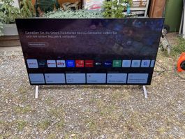 LG OLED55A19LA Fernseher 55 Zoll (79)
