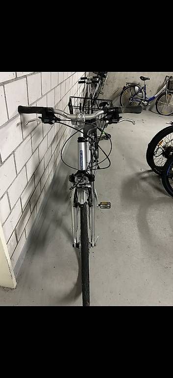 Biciclette: Damen Velo – Usato da Olten venduto da Tip0 1