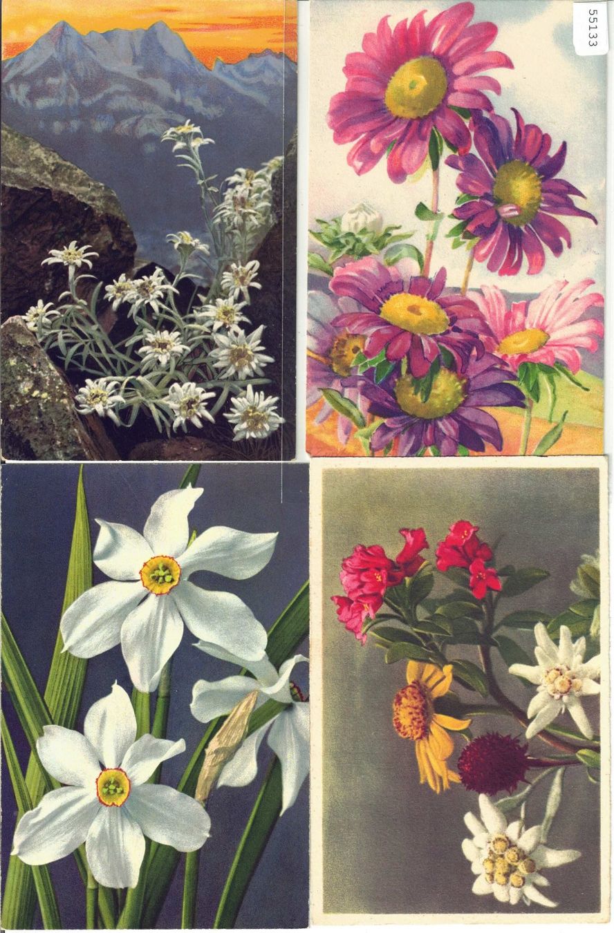 Ansichtskarten: 4 AK - Blumen – Gebraucht aus Ettingen von Kartenplanet
