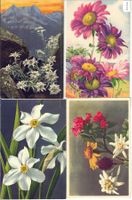 4 AK - Blumen