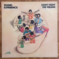 LP - Sound Experience - Don't Fight The Feeling