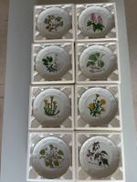 Porzellan-Teller 8er Set Botanik-Motiv aus Langenthal
