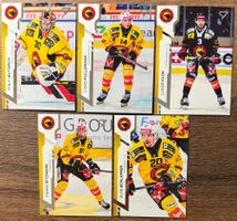 Sportzoo Series 2 - SC Bern
