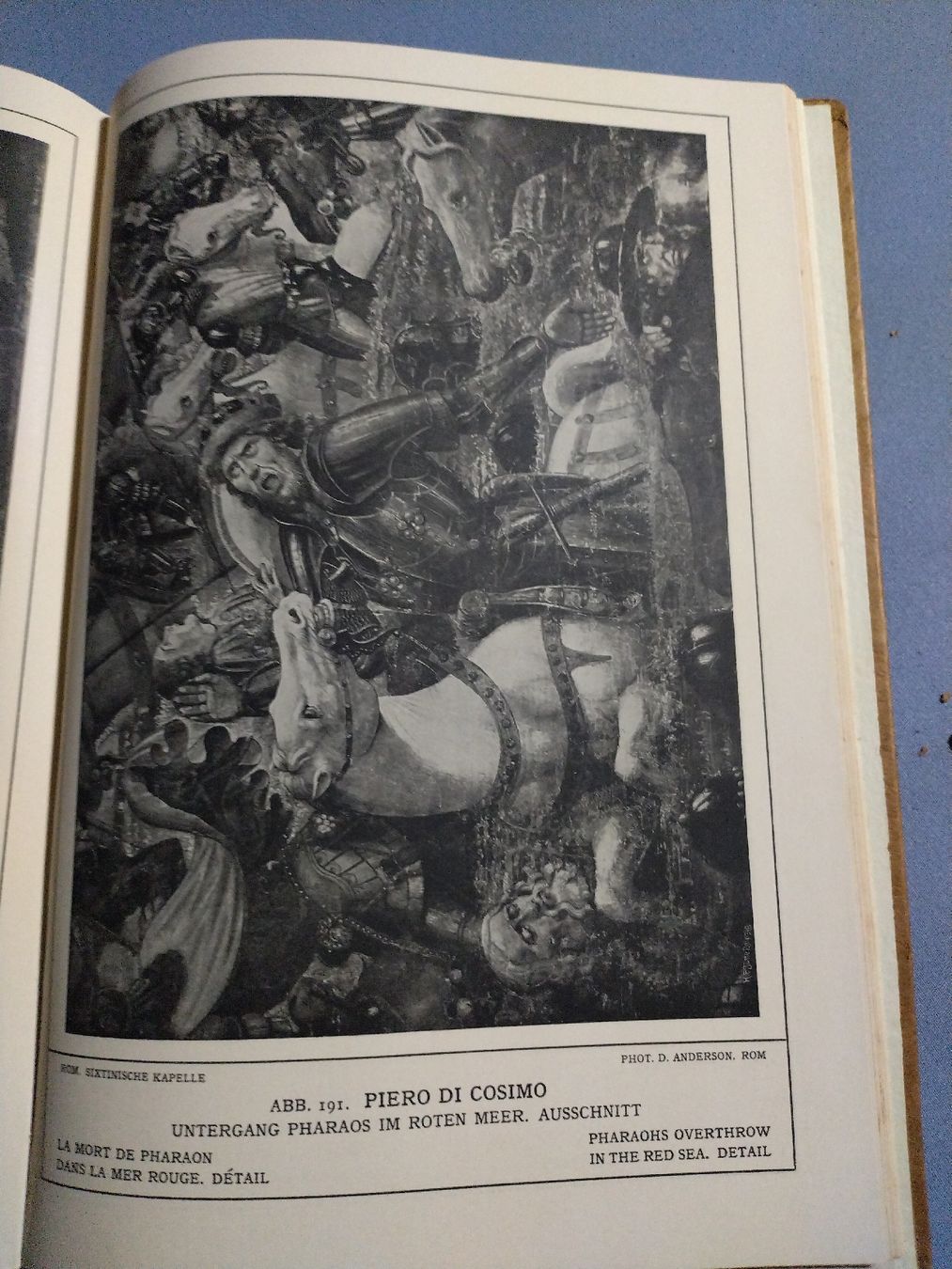 Libri: Früh-Renaissance der ital. Malerei – Usato da Brugg AG venduto da matejR 7