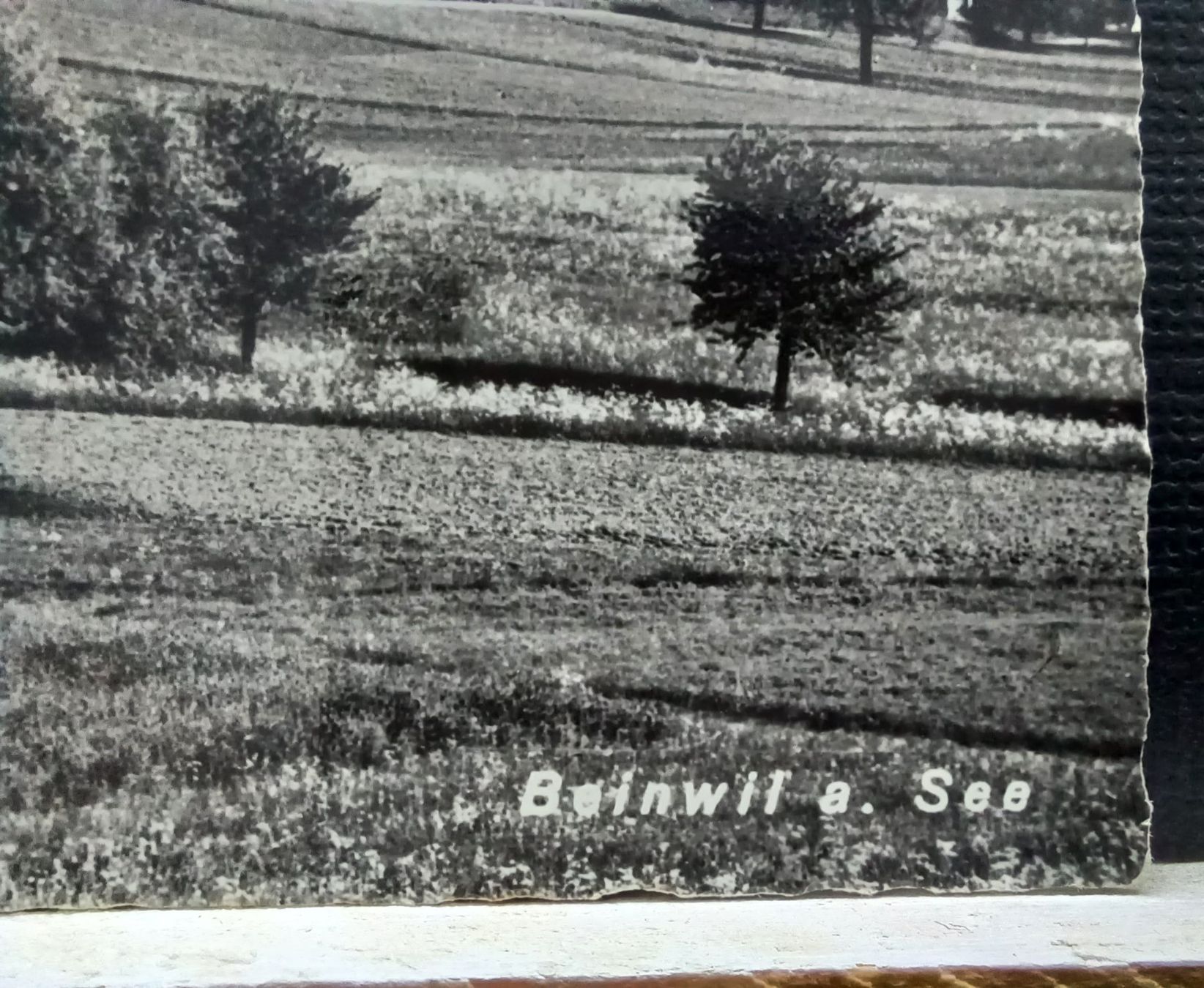 Cartoline postali: AG, Beinwil a. See,  No.m 680, 1963 – Usato da Aarau Rohr venduto da mgvw 1