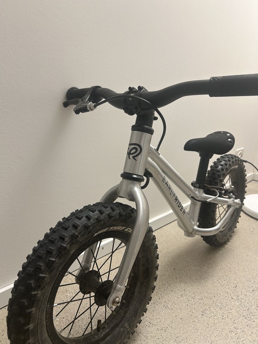 Early Rider Fahrzeuge für Kinder: Early Rider Seeker 12 – Gebraucht aus Basel von obs_r9gh 2