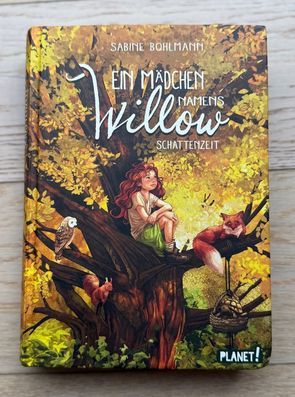 Libri: Ein Mädchen namens Willow 5: Schattenzeit – Usato da Hirzel venduto da Dream-Box