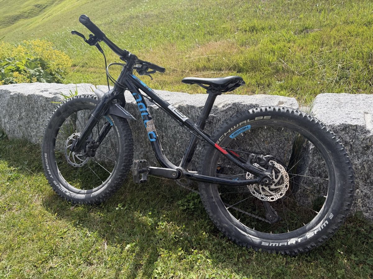 Naloo Biciclette: Naloo Hill Bill 20 Zoll – Usato da Lenzerheide/Lai venduto da vitalmic88