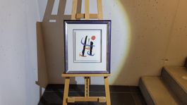 *** MIRO JOAN, wunderschön gerahmt ***
