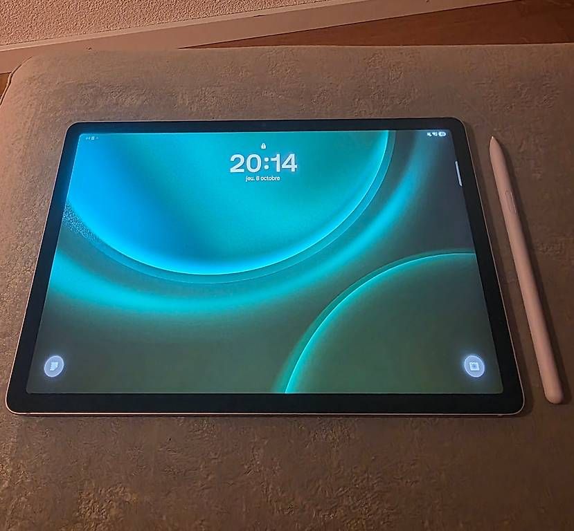 Tablet PC: Tablette Samsung S9 FE – Usato da Genève venduto da meh_5c87