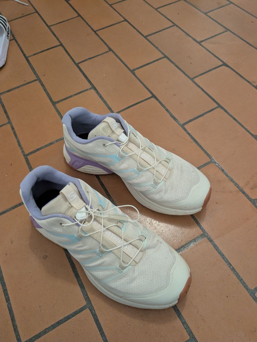 Salomon Scarpe da uomo: Salomon XT Pathway beige Grösse 42  – Usato da Zürich venduto da jul_ftn2