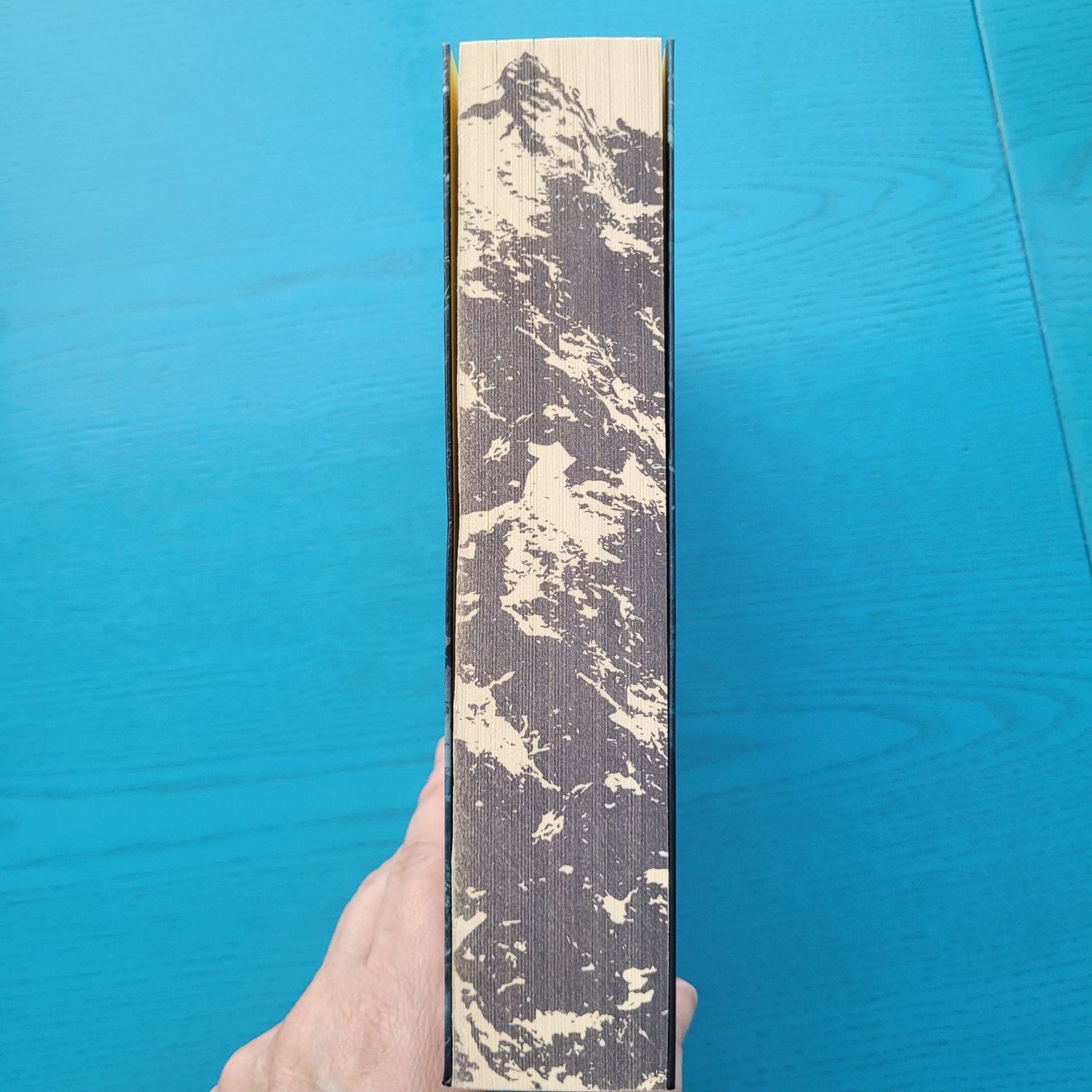 Libri: Sarah Pearse- Das Sanatorium – Nuovo (secondo la descrizione) da SCHÜBELBACH venduto da CoKaHa 1