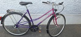 Damenrad, Citybike, Bahnhofsvelo