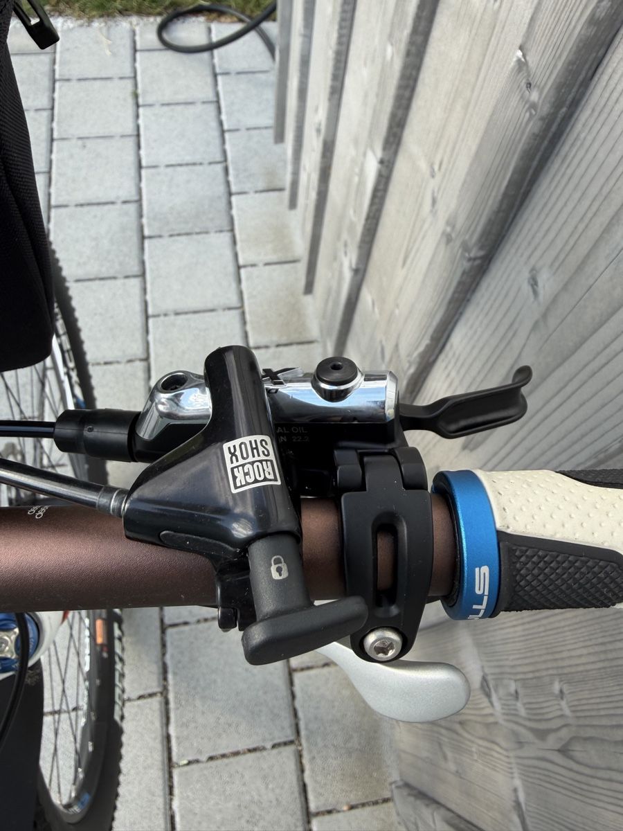 Bulls Biciclette: Bulls Wilde Edge He 29 Ws RH 46 Full – Usato da Schönholzerswilen venduto da rsm_6d2n 9