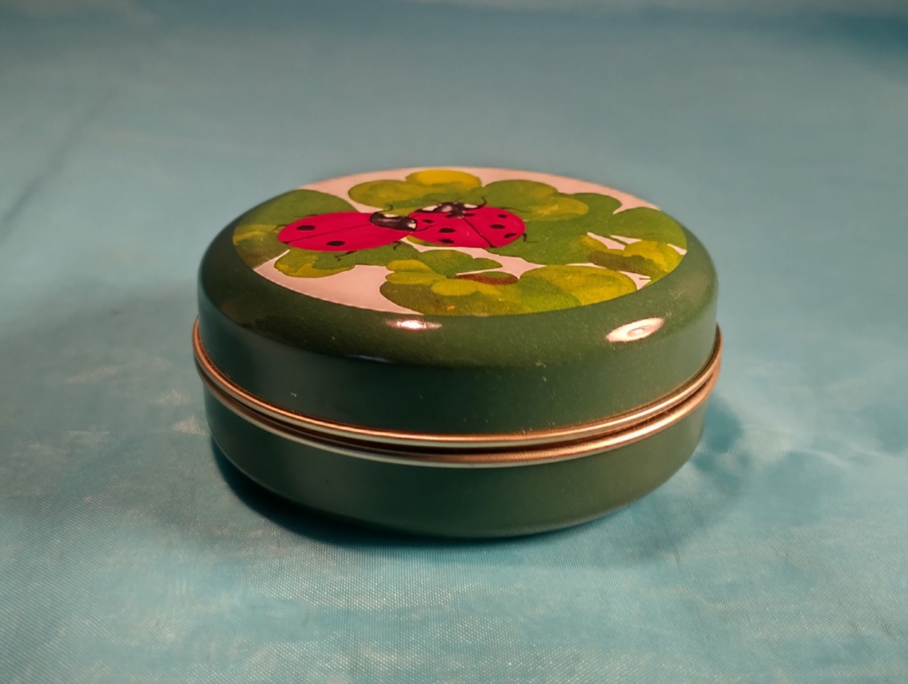 Altro in Decorazioni & Accessori: Blechbüchse, Marienkäfer und Kleeblätter – Usato da Bellach venduto da JingleCherry 1