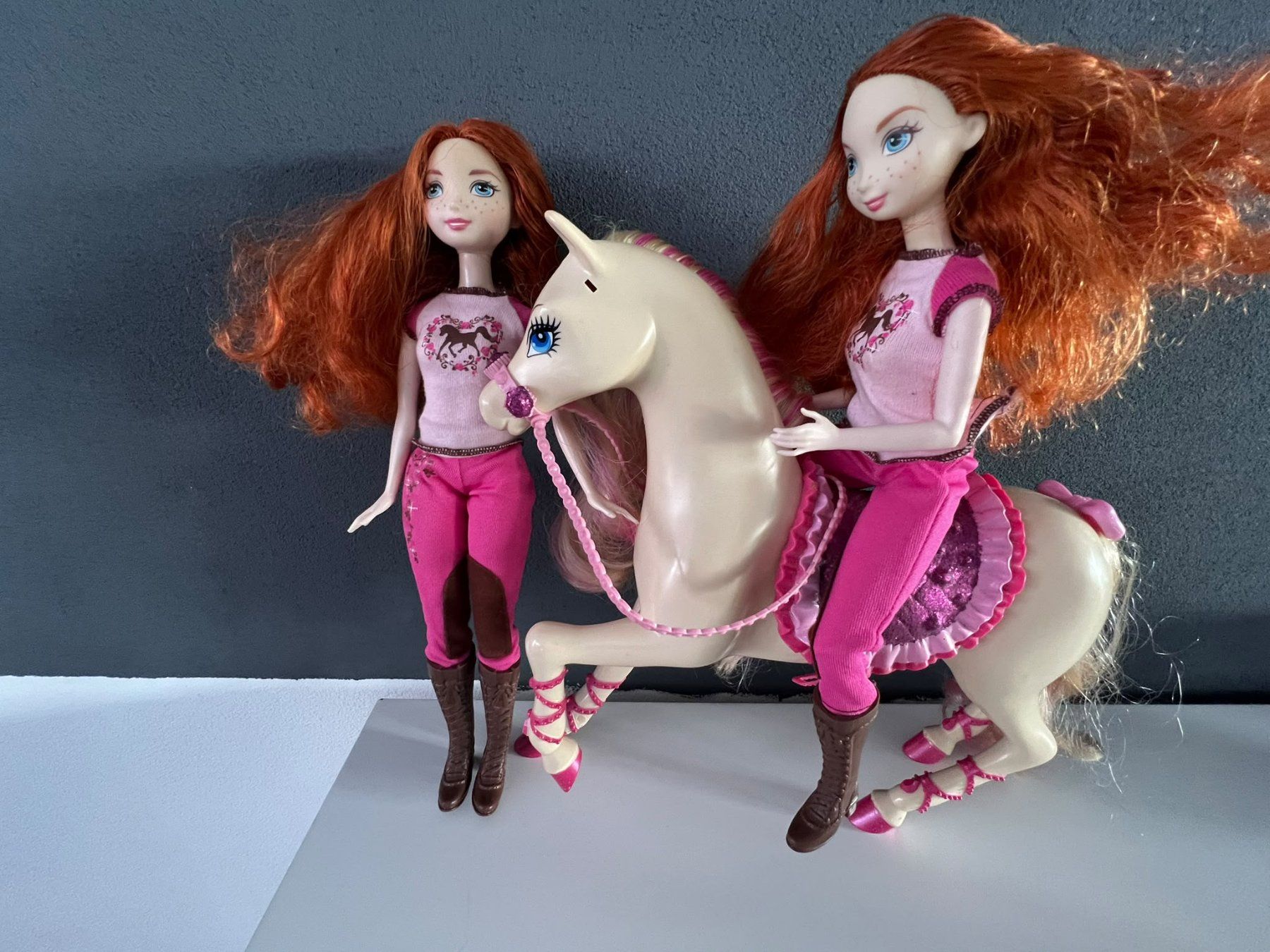 Puppen: 2 Merida Barbiepuppen mit Pferd – Gebraucht aus Langwiesen von rheinfall59 5