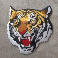 Patch Tiger F-5 E Schweizer Luftwaffe
