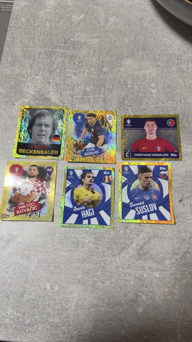 Panini Carte collezionabili: Euro 2024  – Usato da Emmen venduto da and_lb9r