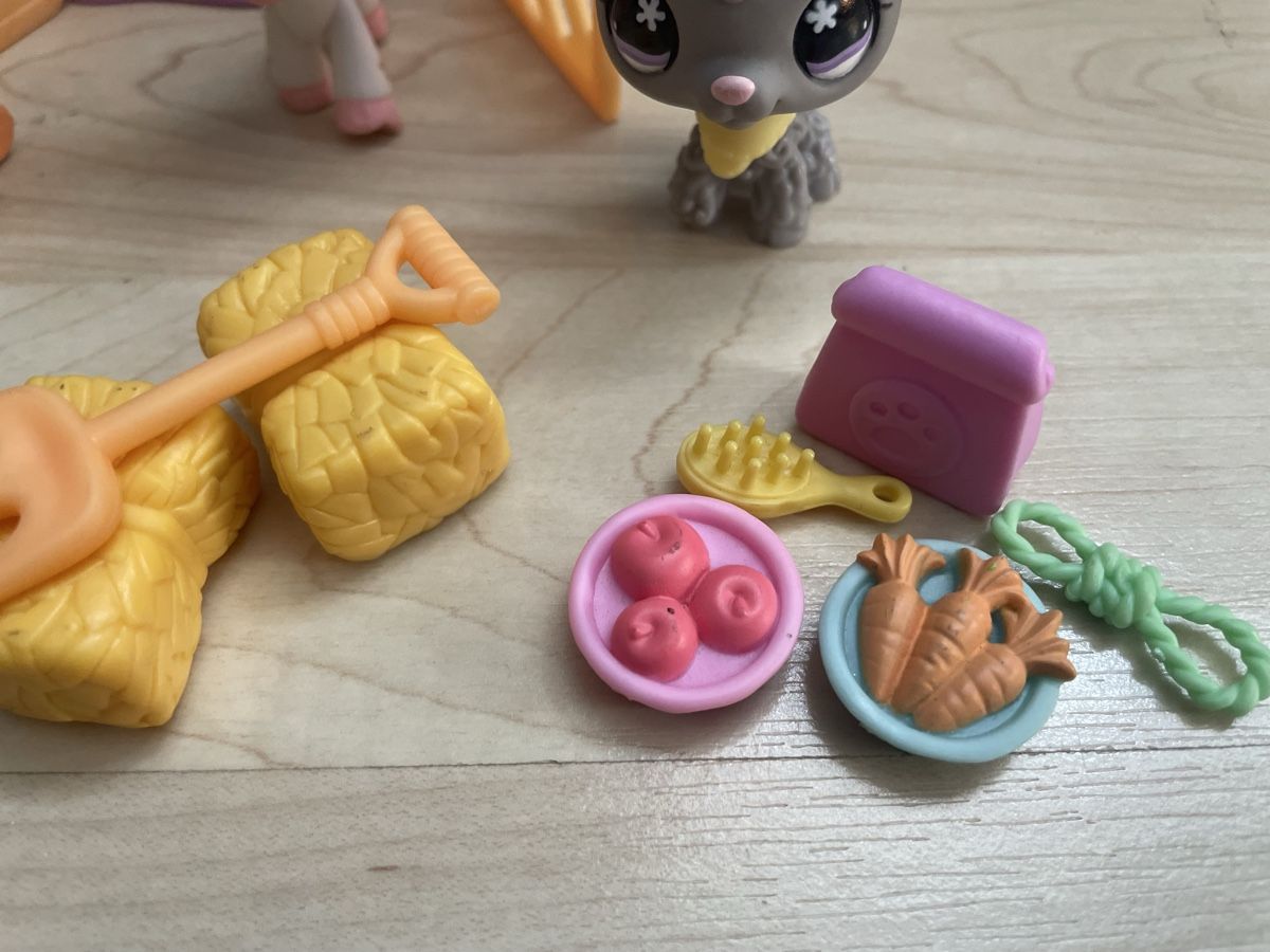 Littlest Pet Shop Giocattoli: Littlest Pet Shop Zoo – Usato da Fribourg venduto da tinavon 1
