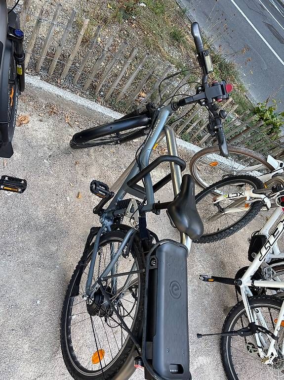 Decathlon Biciclette: Vélo électrique - Decathlon Riverside 920e – Usato da Geneve venduto da mbo_xt9y