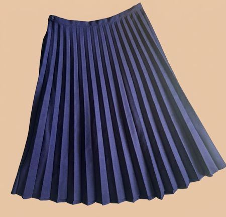 Pleated skirt / Faltenrock