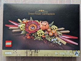 Lego Botanicals 10314 Trockenblumengesteck [neu&OVP]