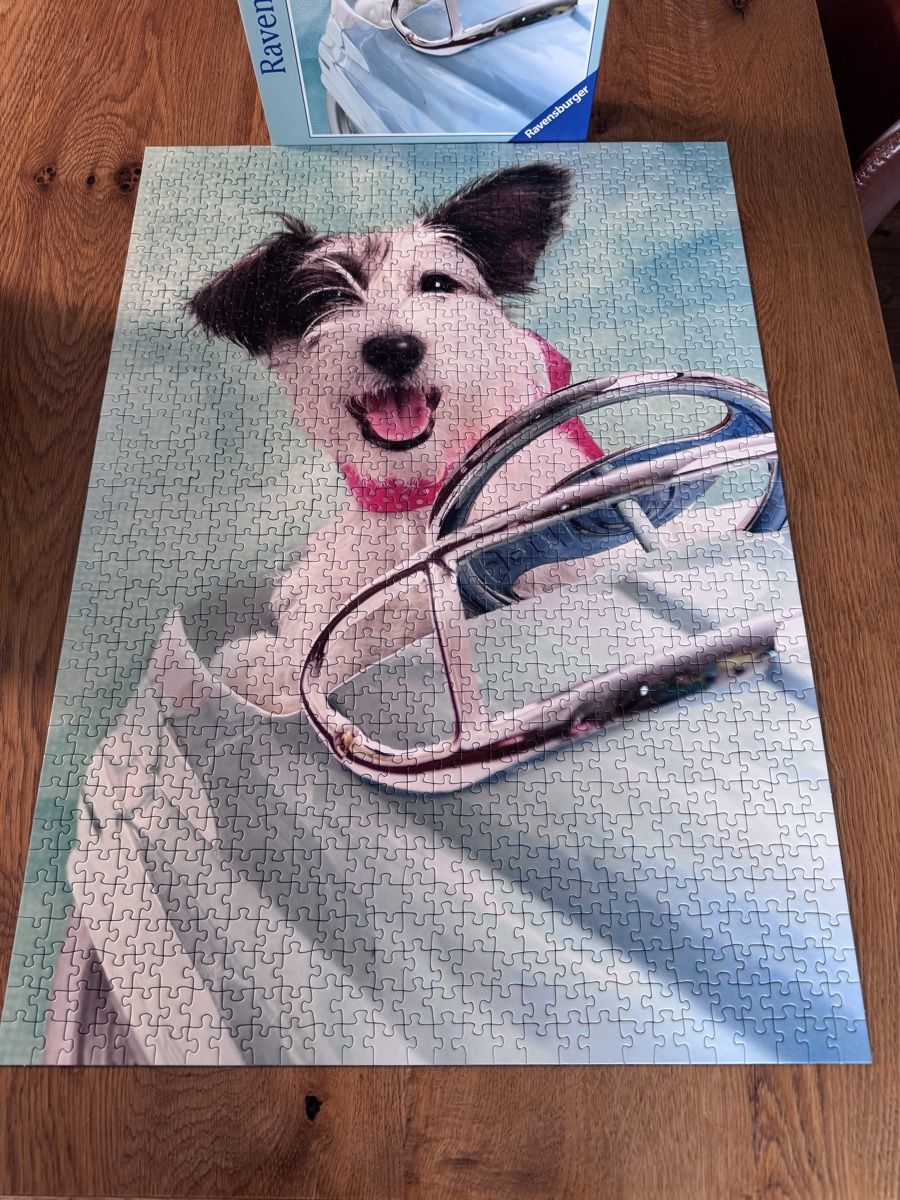 Ravensburger Puzzles: Ravensburger Puzzle 1000 Teile Hund – Gebraucht aus Niederbüren von Oetschli 2