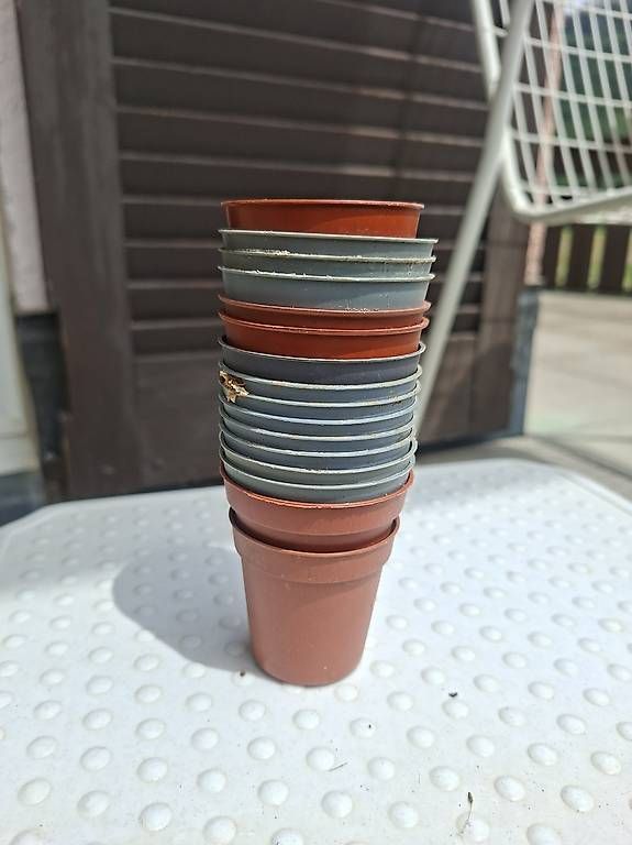 WC: Diverse kleine Töpfchen ca 4cm – Usato da Sils/Segl Maria venduto da Patrizia_Sophie 1