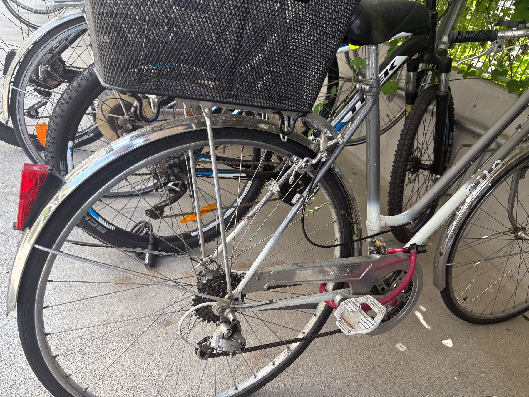 Cilo Velos: Cilo Damenfahrrad – Defekt aus Chur von _Nadine. 1