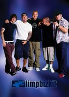 Poster Limp Bizkit