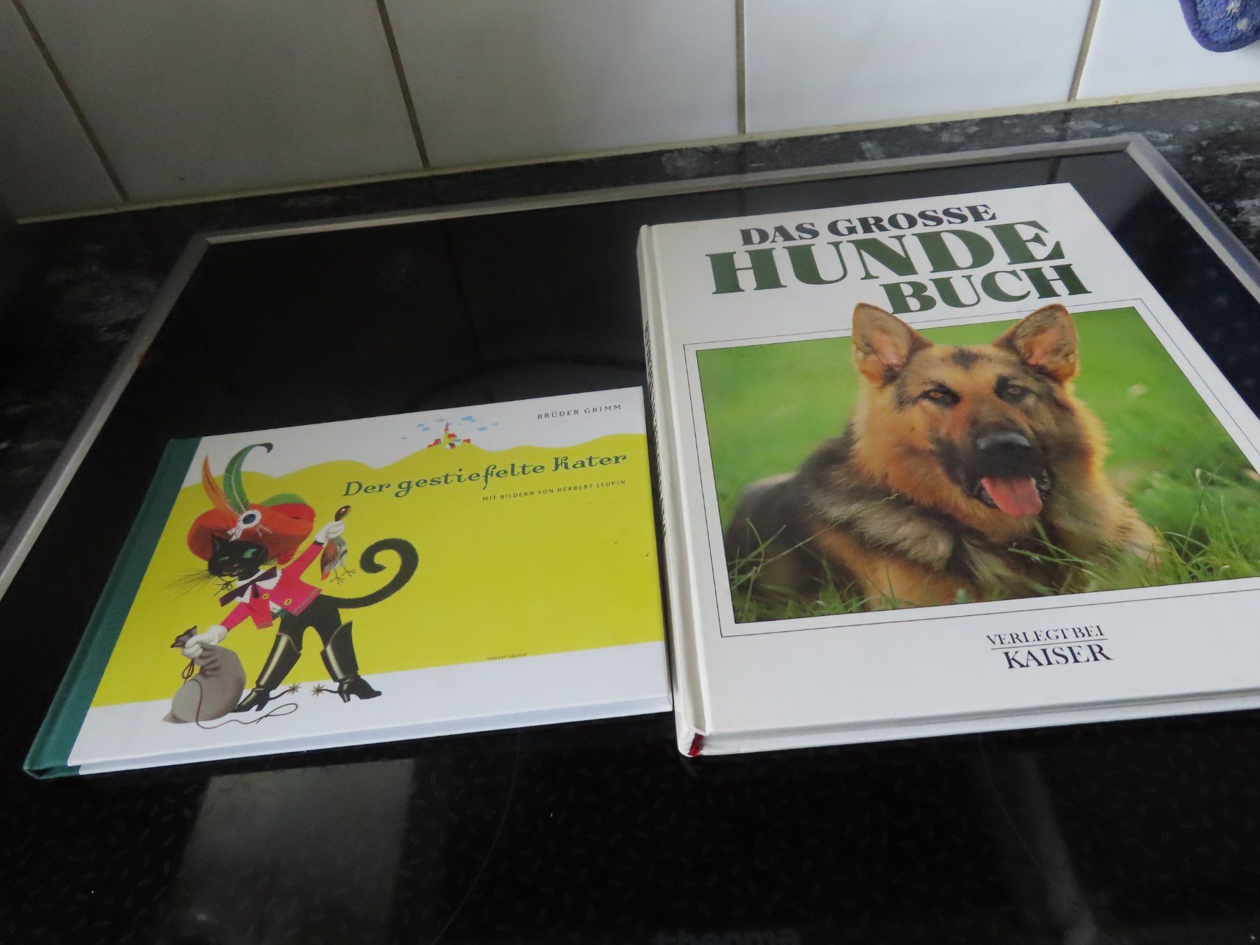 Libri: Hunde Buch – Usato da Rüfenacht BE venduto da tial70 2