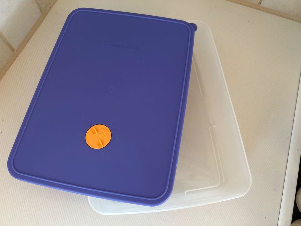 Tupperware Rechteckig 3.5L, Blau - Ideal für Picknick! (Neu (gemäss ...